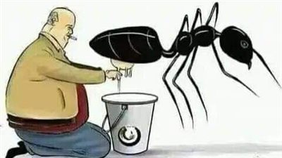 رواية غزال الشهاب (كاملة بجميع الفصول)