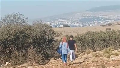 رواية العرافة (كاملة)