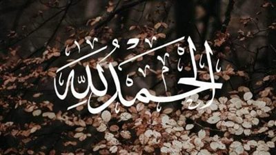 قصة اسرار حماتي كامله