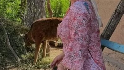 قصه البنت التي تواعد الشاب وهي...