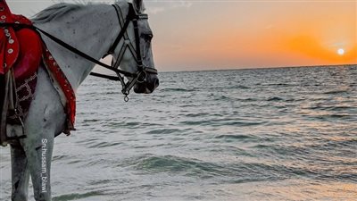 لماذا ينام الرجل بسرعة بعد العـ.ـلاقة الزوجـ.ـية؟ 
