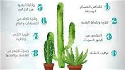 جل الصبار: علاج طبيعي متعدد الاستخدامات
