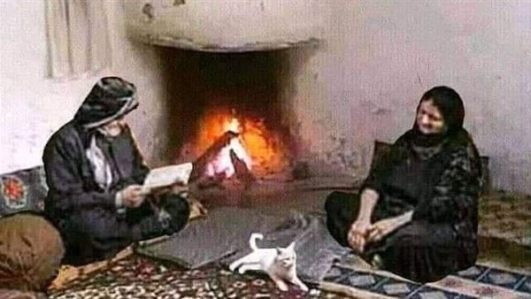 موقع أيام نيوز