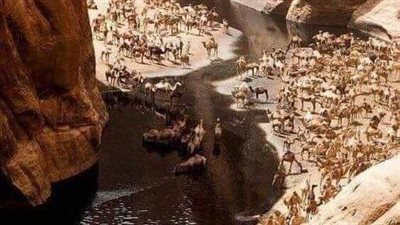 يقول سيدنا رسول الله ﷺ عن نفسه: بينما انا بين النائم واليقظان اذا أتاني جبريل