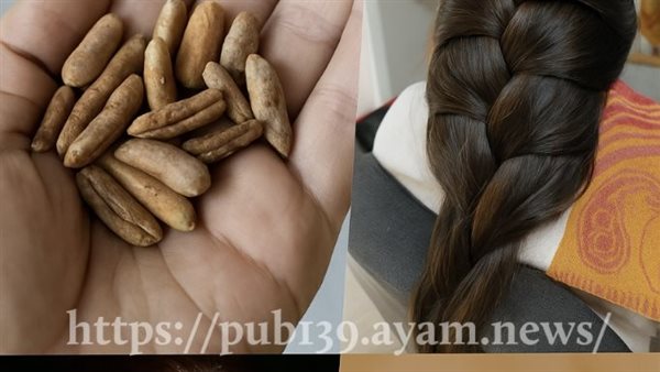 موقع أيام نيوز