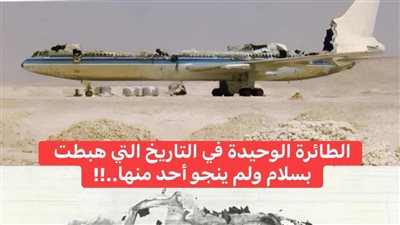 الطائرة الناجية 