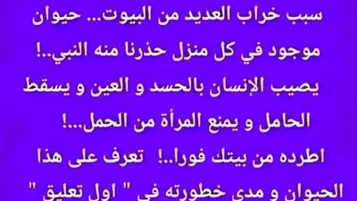 سبب خړاب العديد من البيوت تحذير نبوي من حيوان يعيش بيننا